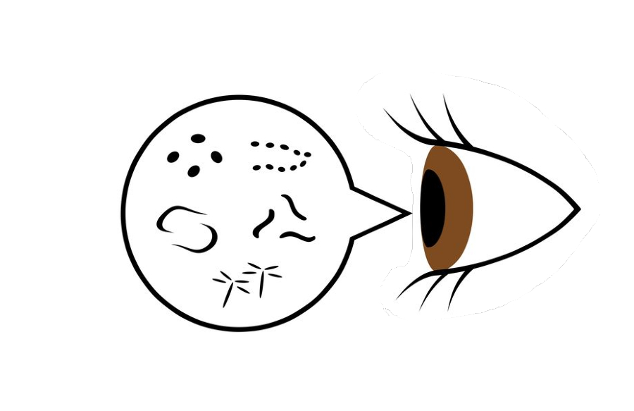 視界に黒い影や糸くず…「飛蚊症」の原因は？ 受診した方がいい？ ニコニコニュース