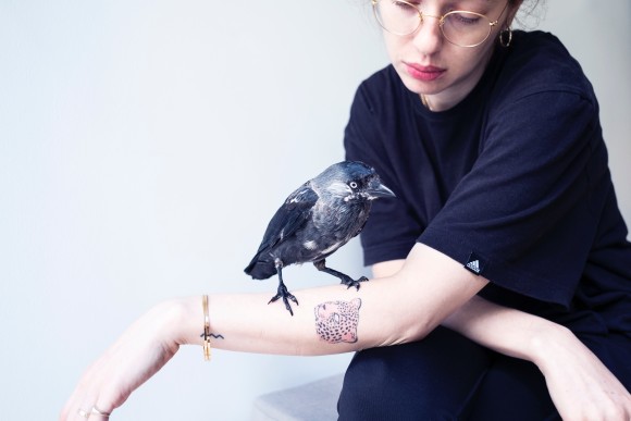 仲良くなったカラスが自発的にボディガード役となり 近づく隣人に襲い掛かるように だがハッピーエンドが待っていた ニコニコニュース
