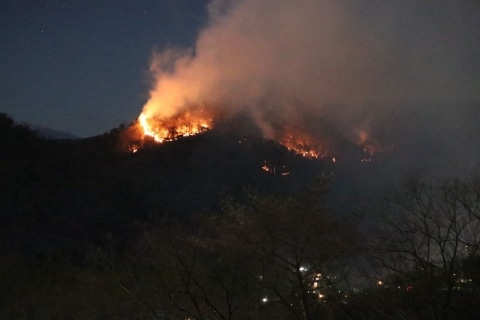 足利の山火事 原因が 火の不始末 だったら責任どうなる 鎮火の見通したたず ニコニコニュース