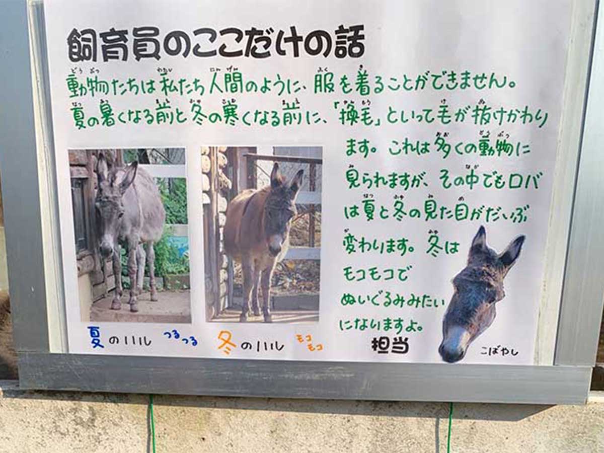 飼育員が書いた 貼り紙 ちょっとしたミスで子供たちが ニコニコニュース