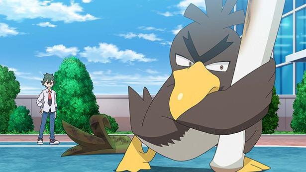 ポケットモンスター 第60話の先行カットが到着 サトシとカモネギのプライドをかけた戦い ニコニコニュース