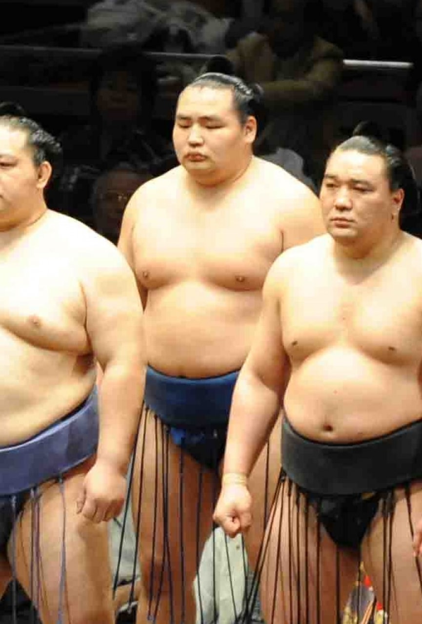 横綱 鶴竜の引退で先輩親方にとばっちり 名跡を巡り懸念される困難 白鵬の動向も命運を左右か ニコニコニュース