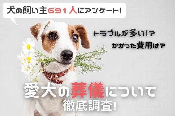 愛犬が亡くなったら葬儀どうする トラブルがあった人も 犬の飼い主691人に大調査 ニコニコニュース