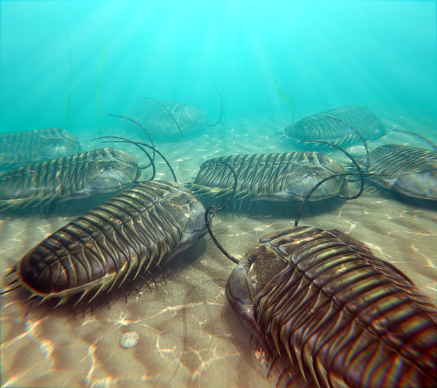 古代生物って面白い 三葉虫は脚で呼吸をしていたことが判明 ニコニコニュース