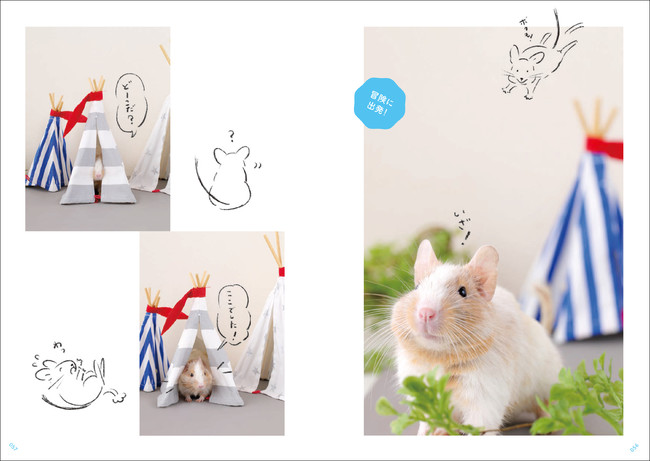 わかりやすいイラスト満載で初心者でも読みやすい デグーの魅力や飼い方を余すところなく解説した一冊 ニコニコニュース