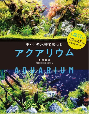 水草と魚が織りなす鮮やかで小さな大自然 中 小型水槽で楽しむアクアリウム 4 30発売 ニコニコニュース