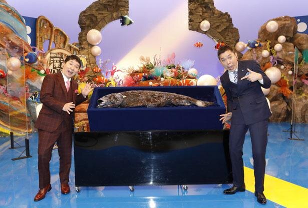巨大深海魚 ヨコヅナイワシ 登場にスタジオ大興奮 爆笑問題の深海wanted7 ニコニコニュース