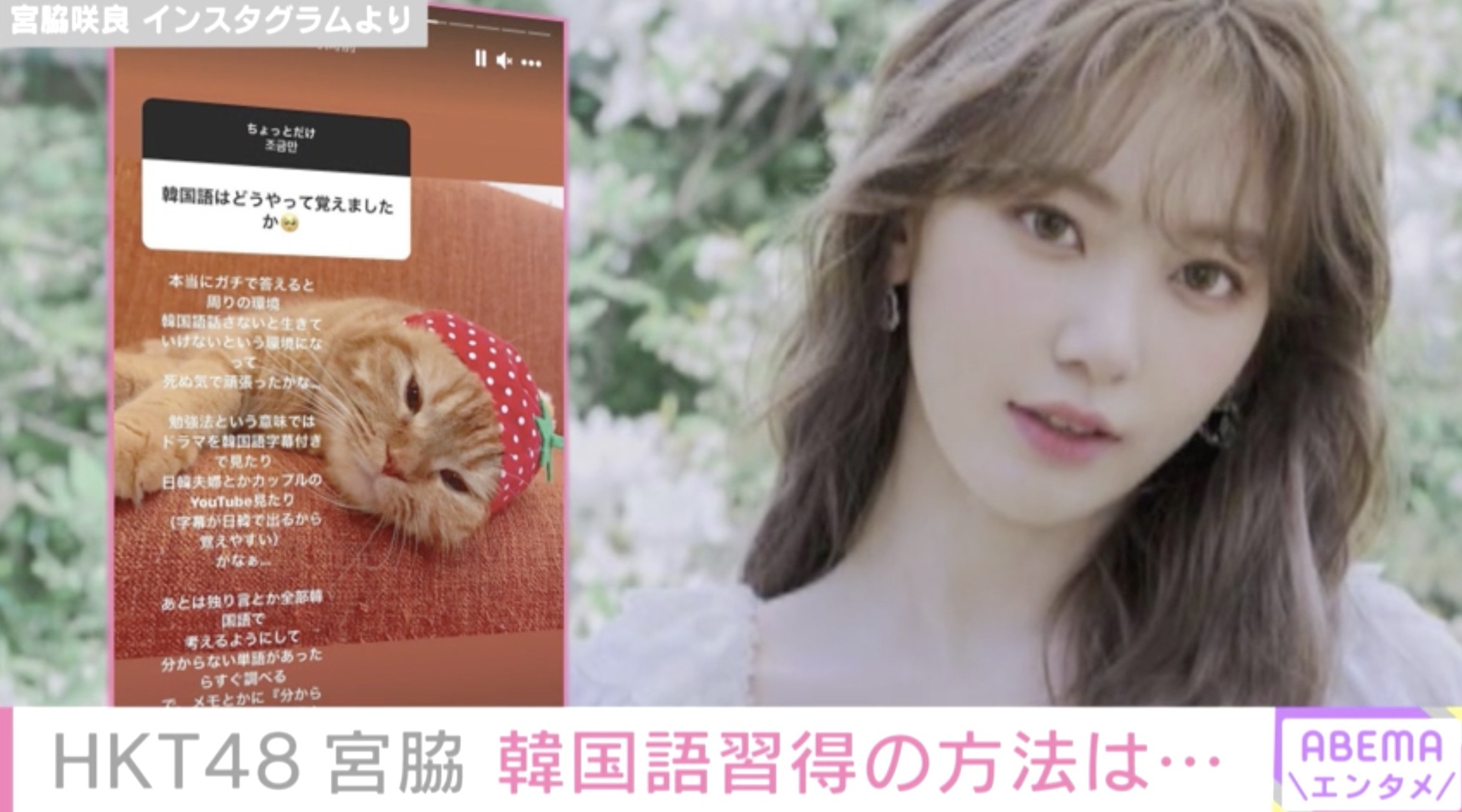 Hkt48 宮脇咲良 韓国語の習得方法を明かす ドラマを韓国語字幕付きで見たり 日韓夫婦とかカップルのyoutube見 ニコニコニュース