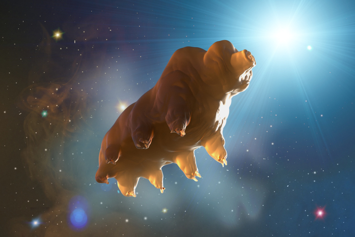 5000匹のクマムシとダンゴイカが人類の為 宇宙へと旅立っていった Nasa ニコニコニュース