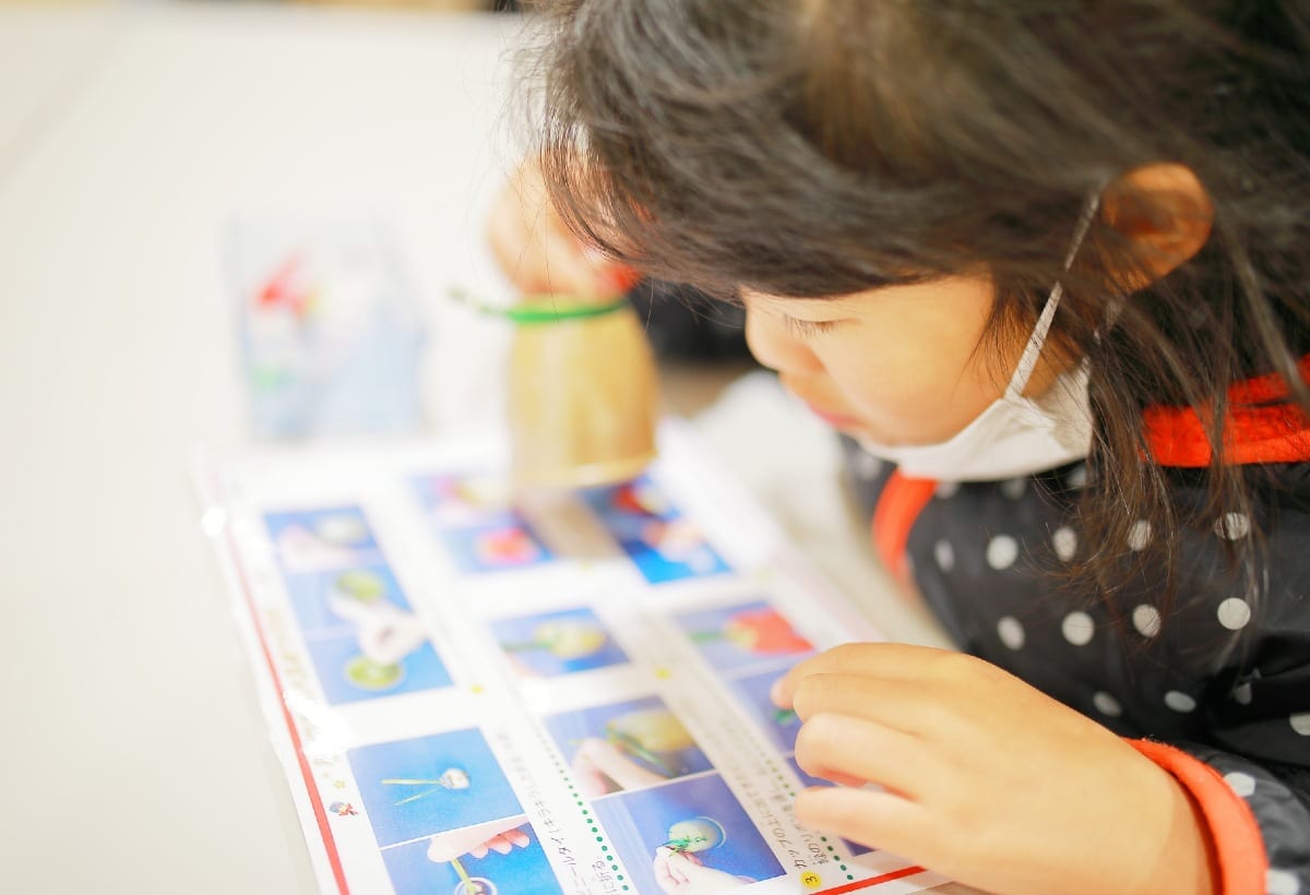 昆虫 歴史 鉄道 子どもの 熱中体験 生かすも殺すも親次第 ニコニコニュース