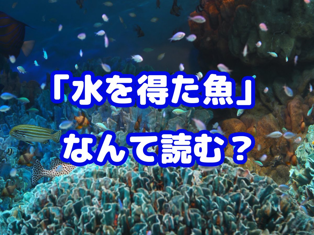 意外と知らない 水を得た魚 の読み方 正しい読み方は ニコニコニュース