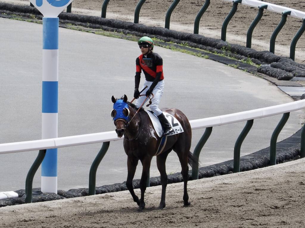 東京7r 石橋脩 本当に強い競馬 ルコルセールが2連勝 ニコニコニュース