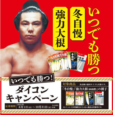 サカタのタネ 千代の富士 いつでも勝つ ダイコンキャンペーン実施 ニコニコニュース