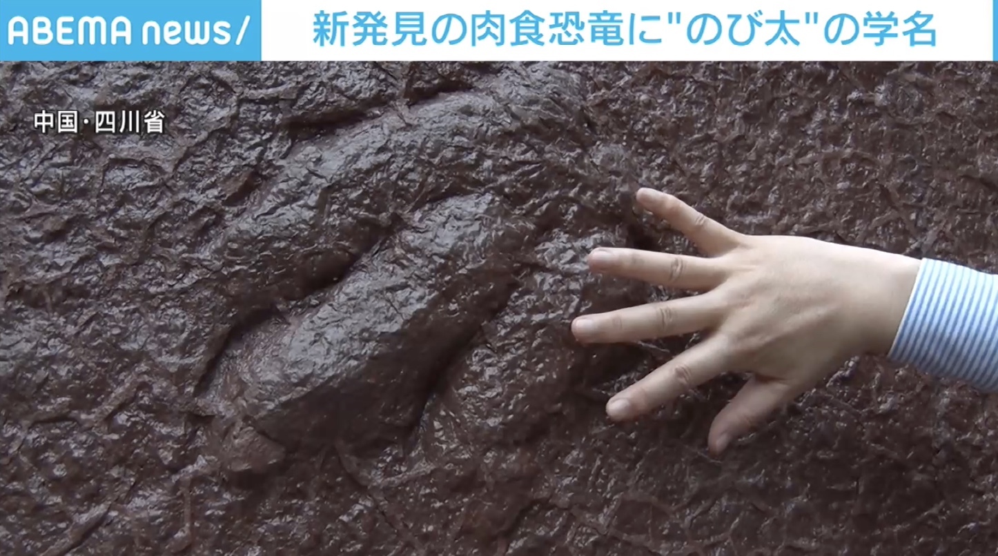 新種肉食恐竜の足跡化石に のび太 の学名 中国 ニコニコニュース