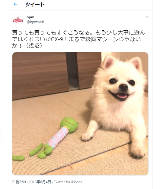 浅沼晋太郎 諏訪部順一etc 犬好き声優 の愛あふれるエピソード5選 可愛さにほっこり ニコニコニュース