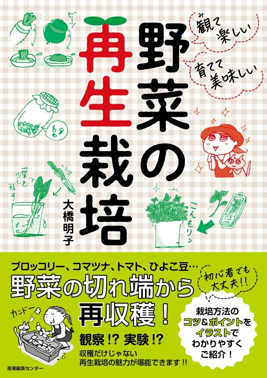 パプリカや白菜でもできる再生栽培 自由研究にも ニコニコニュース