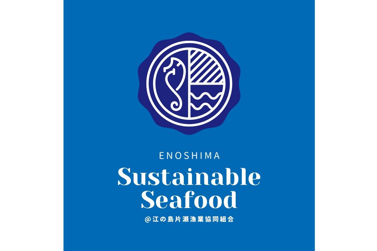 江の島サスティナブルシーフード へ行こう 未利 をおいしく食べるプロジェクト ニコニコニュース