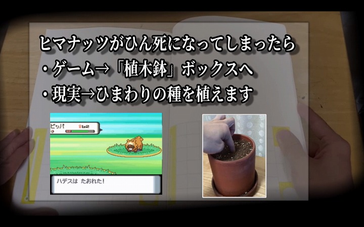 ポケモンhg ヒマナッツが ひんし になるたびヒマワリ栽培 ニコニコニュース