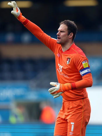 エバートン ボーンマスgkベゴビッチを獲得 ニコニコニュース