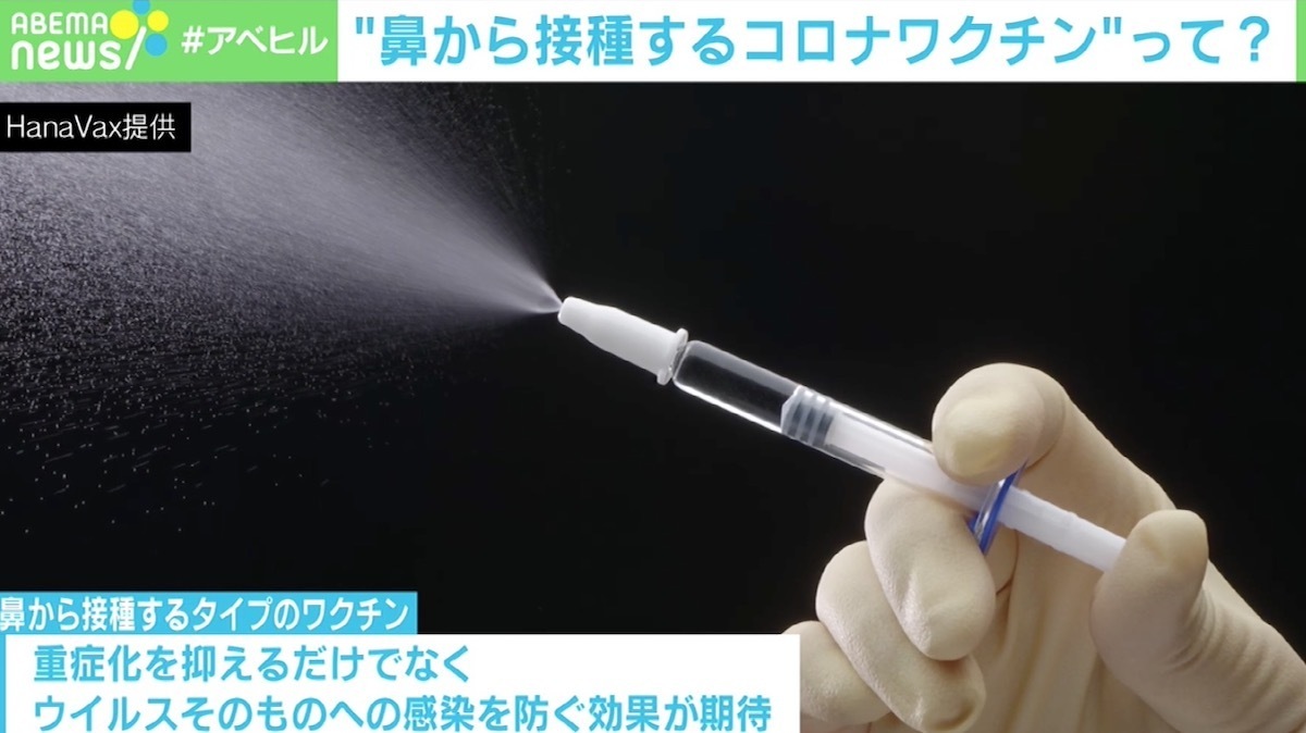 鼻から接種 するコロナワクチンに お米ワクチン 開発 東大発ベンチャーのhanavax 石丸ceoを直撃 ニコニコニュース