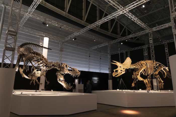 ソニーの恐竜展 Dinoscience 恐竜科学博 はこんなにスゴイ 大興奮の内覧会レポート ニコニコニュース