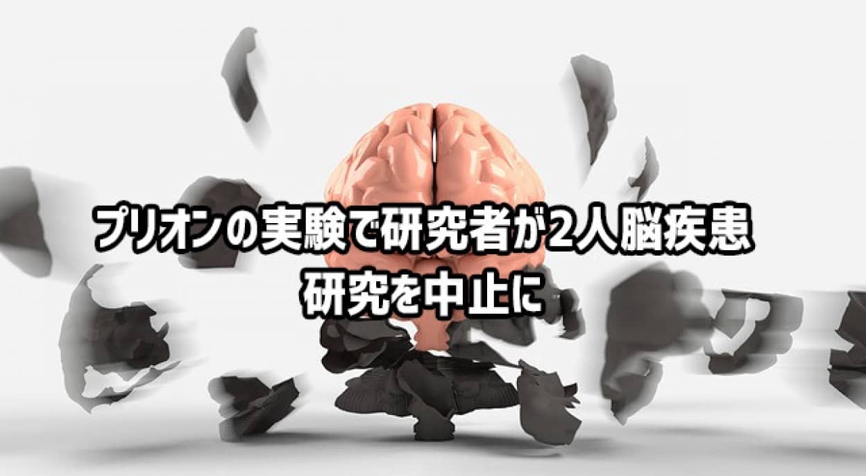 感染性因子 プリオン を扱う研究所職員が2例目のヤコブ病発症 感染した疑いがあるとして研究を中止に フランス ニコニコニュース