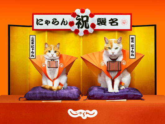 じゃらん Cmキャラ にゃらん二代目がcmで襲名披露 5つの秘密も大公開 ニコニコニュース