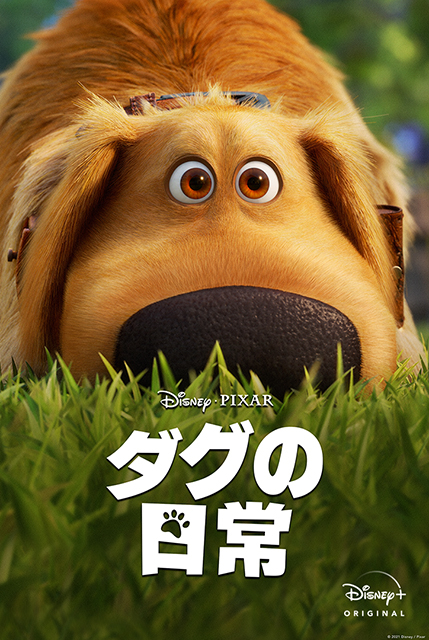 カールじいさんの空飛ぶ家 のしゃべる犬 ダグが主人公 短編アニメ ダグの日常 がdisney で9月10日配信 ニコニコニュース