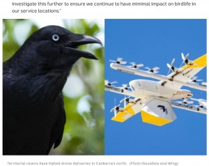 配達ドローンがカラスに襲われサービス停止 ターミネーターだと思っているのでは 豪 動画あり ニコニコニュース